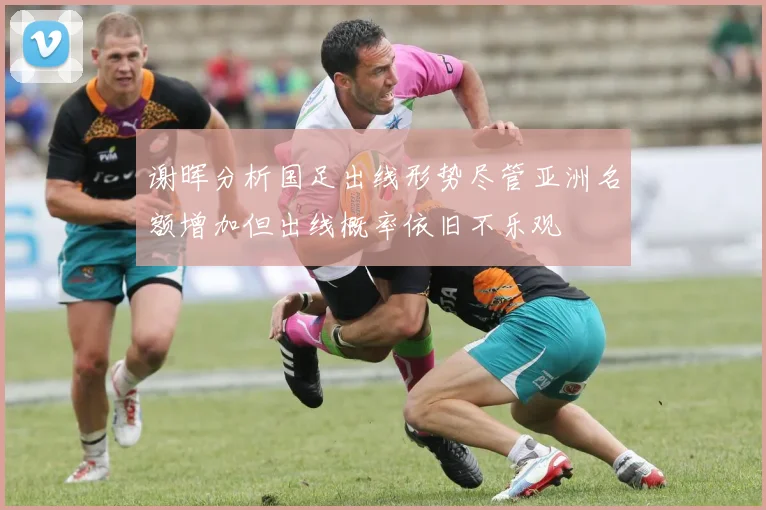 谢晖分析国足出线形势尽管亚洲名额增加但出线概率依旧不乐观