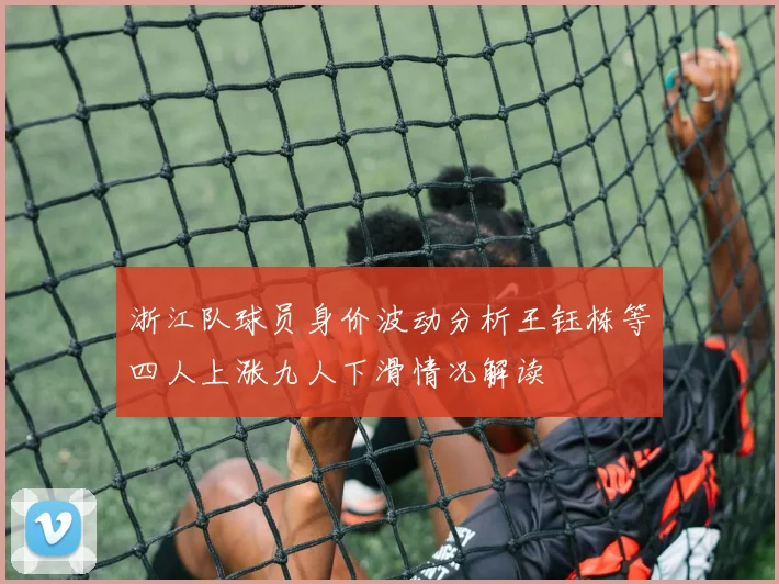 浙江队球员身价波动分析王钰栋等四人上涨九人下滑情况解读